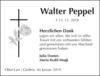 Traueranzeige von Walter Peppel von 561 Kreisanzeiger