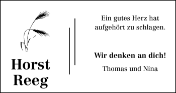 Traueranzeige von Horst Reeg von Odenwälder Echo