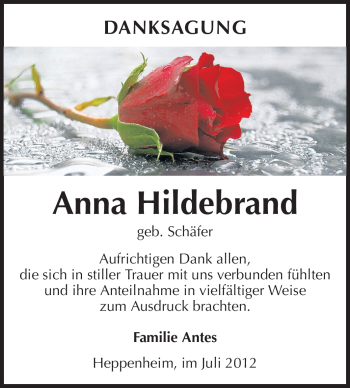Traueranzeige von Anna Hildebrand von Starkenburger Echo