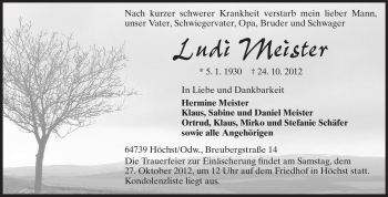 Traueranzeige von Ludi Meister von Odenwälder Echo