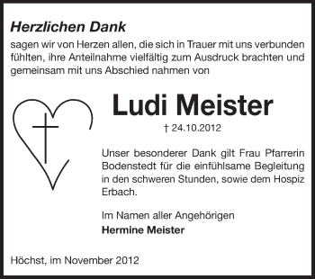 Traueranzeige von Ludi Meister von Odenwälder Echo