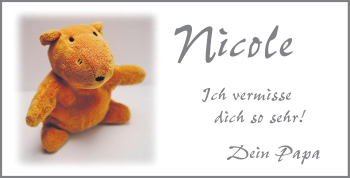 Traueranzeige von Nicole Rabanus von Darmstädter Echo