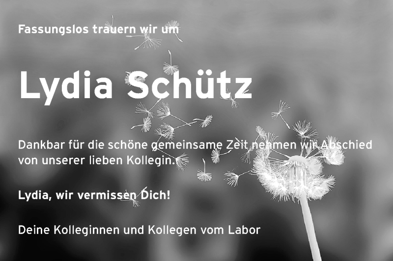  Traueranzeige für Lydia Schütz vom 22.08.2013 aus Echo-Zeitungen (Gesamtausgabe)
