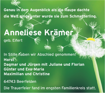 Traueranzeige von Anneliese Krämer von Odenwälder Echo