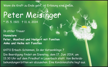 Traueranzeige von Peter Meisinger von Odenwälder Echo