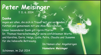 Traueranzeige von Peter Meisinger von Odenwälder Echo