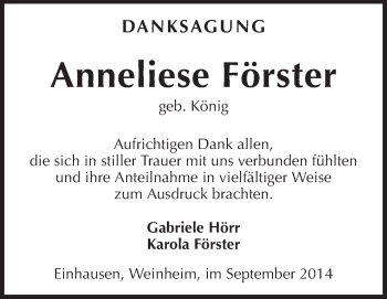 Traueranzeige von Anneliese Förster von Starkenburger Echo