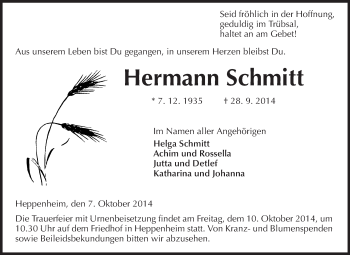 Traueranzeige von Hermann Schmitt von Starkenburger Echo