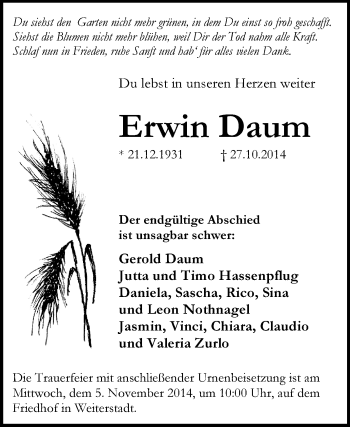 Traueranzeige von Erwin Daum von Echo-Zeitungen (Gesamtausgabe)