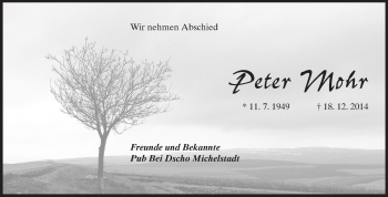 Traueranzeige von Peter Mohr von Odenwälder Echo