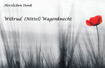 Traueranzeige von Wiltrud Wagenknecht von Trauerportal Echo Online