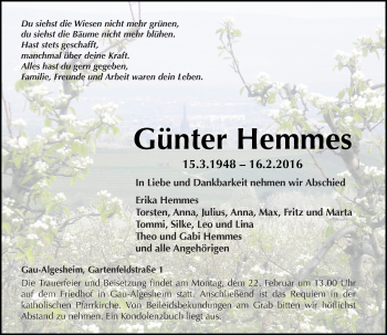 Traueranzeige von Günter Hemmes von  Allgemeine  Zeitung Ingelheim-Bingen