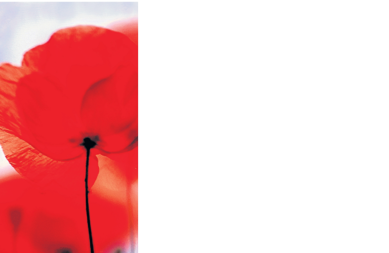  Traueranzeige für Hans Joachim Cößmann vom 25.02.2017 aus Trauerportal Echo Online