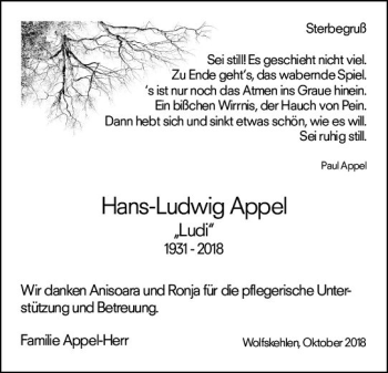 Traueranzeige von Hans-Ludwig Appel von vrm-trauer