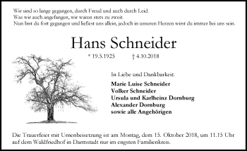 Traueranzeige von Hans Schneider von vrm-trauer