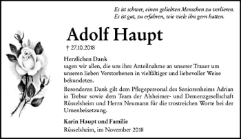 Traueranzeige von Adolf Haupt von vrm-trauer