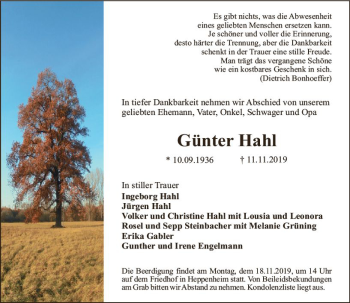 Traueranzeige von Günter Hahl von vrm-trauer
