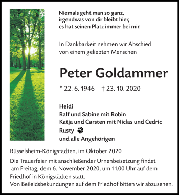Traueranzeige von Peter Goldammer von vrm-trauer