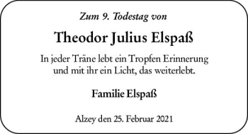 Traueranzeige von Theodor Julius Elspaß von vrm-trauer