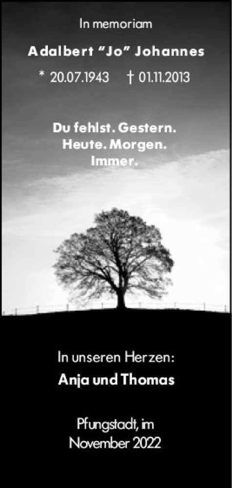  Traueranzeige für Adalbert Johannes vom 01.11.2022 aus vrm-trauer Darmstädter Echo