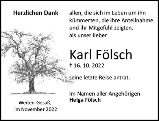 Traueranzeige von Karl Fölsch von vrm-trauer Odenwälder Echo