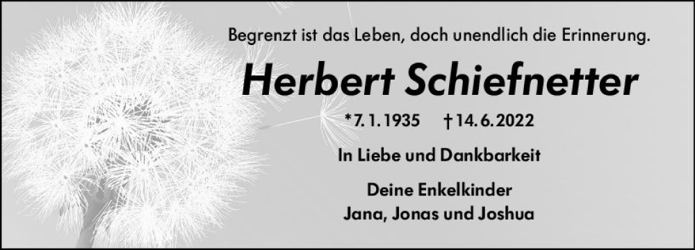  Traueranzeige für Hilde Schiefnetter vom 25.06.2022 aus vrm-trauer Odenwälder Echo