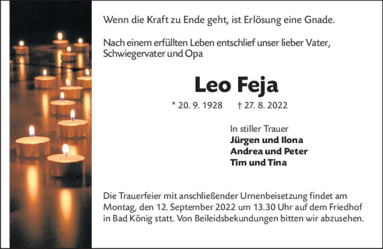 Traueranzeige von Leo Feja von vrm-trauer Odenwälder Echo