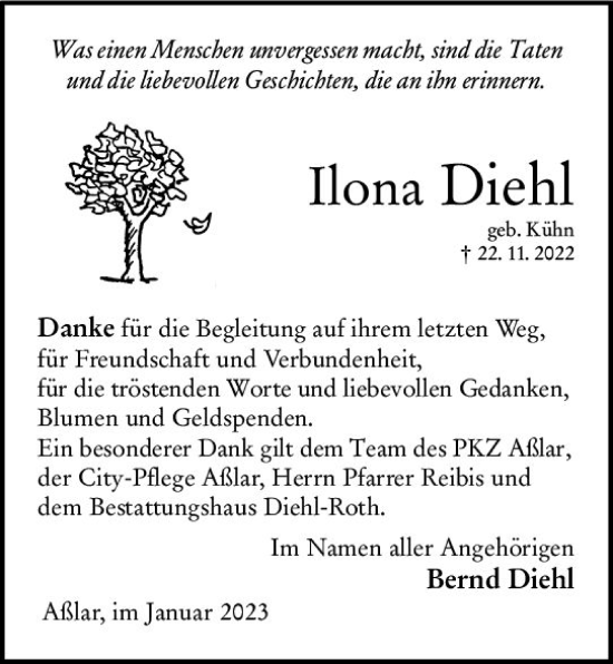 Traueranzeige von Ilona Diehl von Wetzlarer Neue Zeitung