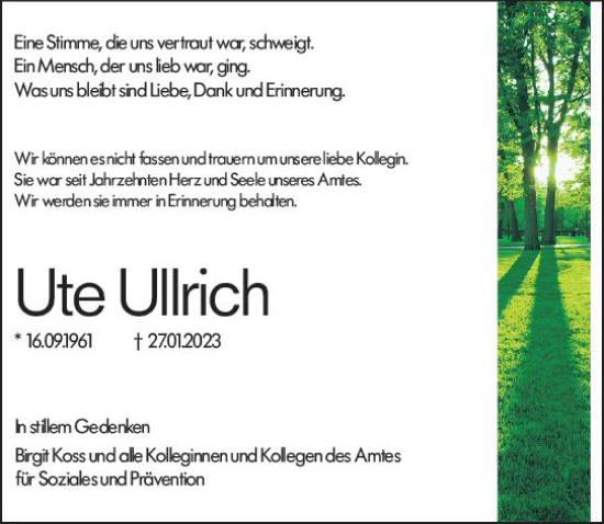 Traueranzeige von Ute Ullrich von Darmstädter Echo