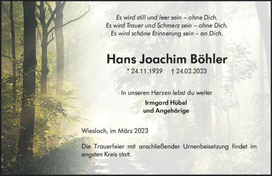 Traueranzeige von Hans Joachim Böhler von Allgemeine Zeitung Bingen/Ingelheim