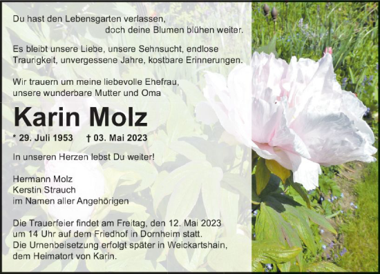Traueranzeige von Karin Molz von Groß-Gerauer Echo