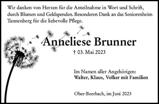 Traueranzeige von Anneliese Brunner von Darmstädter Echo