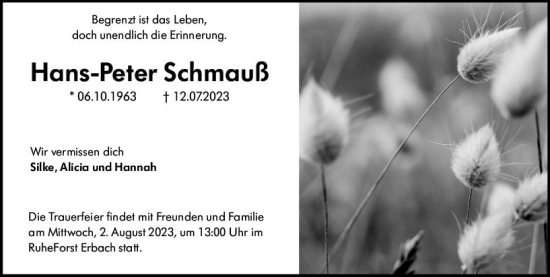 Traueranzeige von Hans-Peter Schmauß von Odenwälder Echo