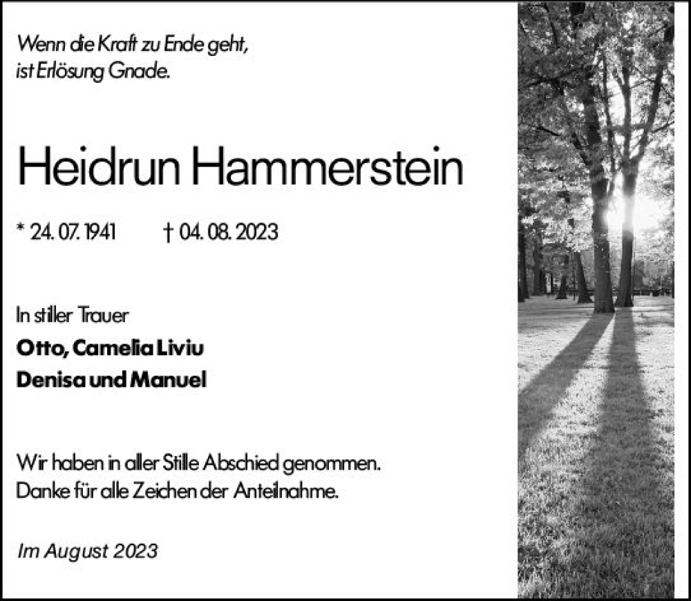  Traueranzeige für Heidrun Hammerstein vom 11.08.2023 aus Weilburger Tageblatt