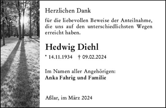 Traueranzeige von Hedwig Diehl von Wetzlarer Neue Zeitung