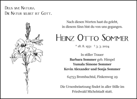 Traueranzeige von Heinz Otto Sommer von Odenwälder Echo