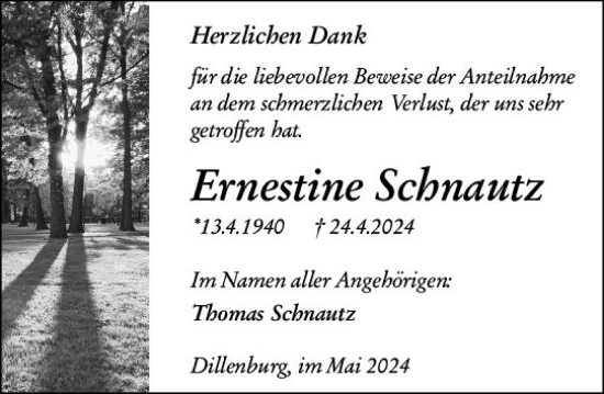 Traueranzeige von Ernestine Schnautz von Dill Block