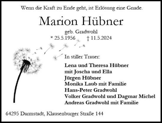 Traueranzeige von Marion Hübner von Darmstädter Echo