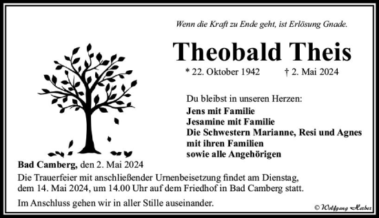 Traueranzeige von Theobald Theis von Camberger Anzeiger