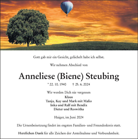 Traueranzeige von Anneliese  Steubing von Dill Block