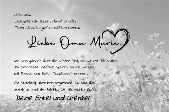 Traueranzeige von Marie Müller von Odenwälder Echo