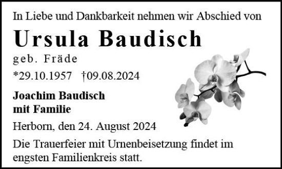 Traueranzeige von Ursula Baudisch von Dill Block