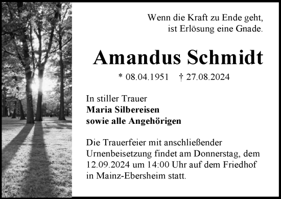 Traueranzeige von Amandus Schmidt von Allgemeine Zeitung Mainz