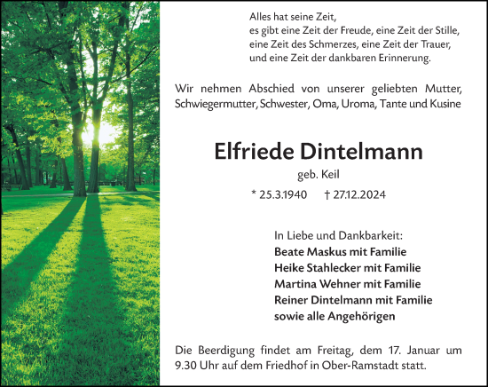 Traueranzeige von Elfriede Dintelmann von Darmstädter Echo