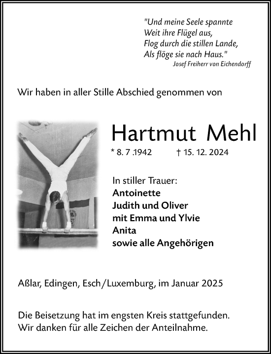 Traueranzeige von Hartmut Mehl von Wetzlarer Neue Zeitung