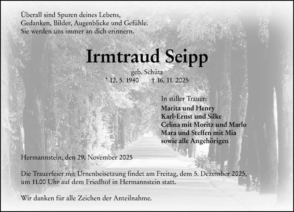  Traueranzeige für Irmtraud Seipp vom 29.11.2025 aus Wetzlarer Neue Zeitung