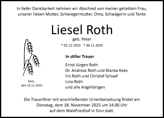 Traueranzeige von Liesel Roth von Dill Block