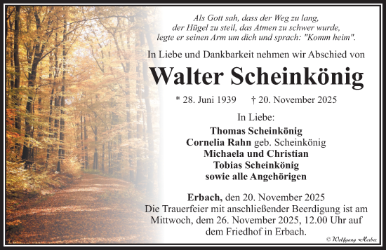 Traueranzeige von Walter Scheinkönig von Nassauische Neue Presse