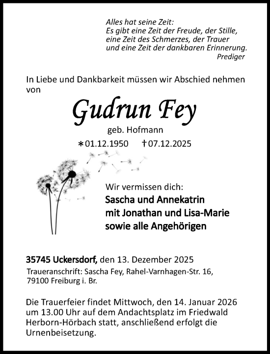 Traueranzeige von Gudrun Fey von Dill Block