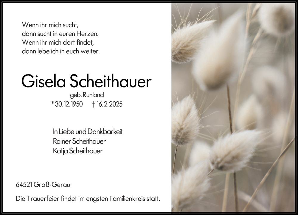  Traueranzeige für Gisela Scheithauer vom 26.02.2025 aus Groß-Gerauer Echo